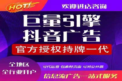 成功SEM服务案例：优化广告投放